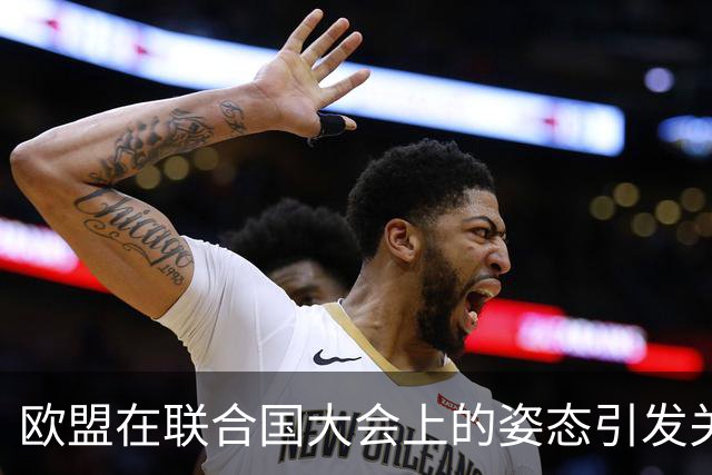 欧盟在联合国大会上的姿态引发关注，台湾问题忽视重要历史