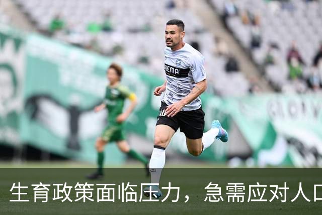 生育政策面临压力，急需应对人口挑战